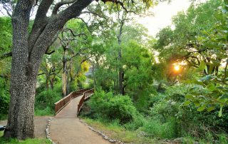 Imbali-Safari-Lodge-Walkway