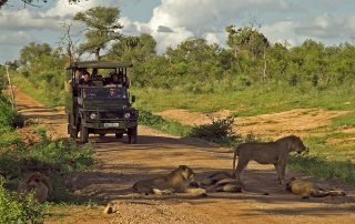 Mjejane-River-Lodge-Safari