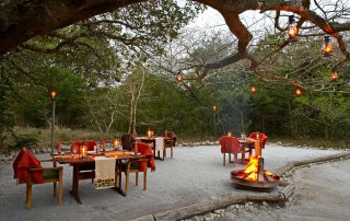 Kosi-forest-Dining-Lapa