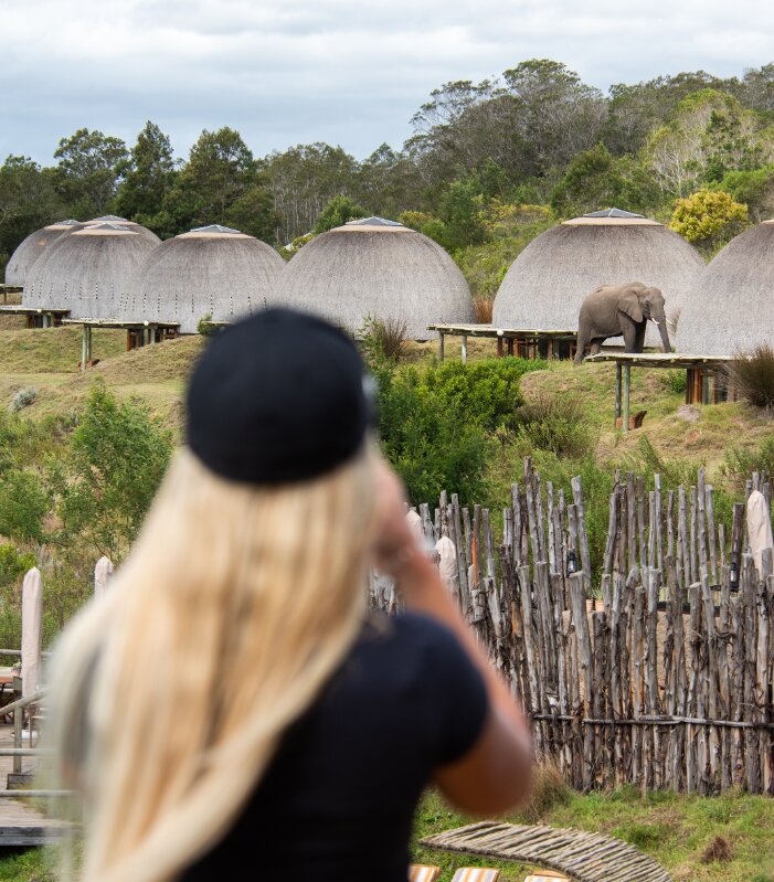 Gondwana-Kwena-Lodge-Elephant-sighting