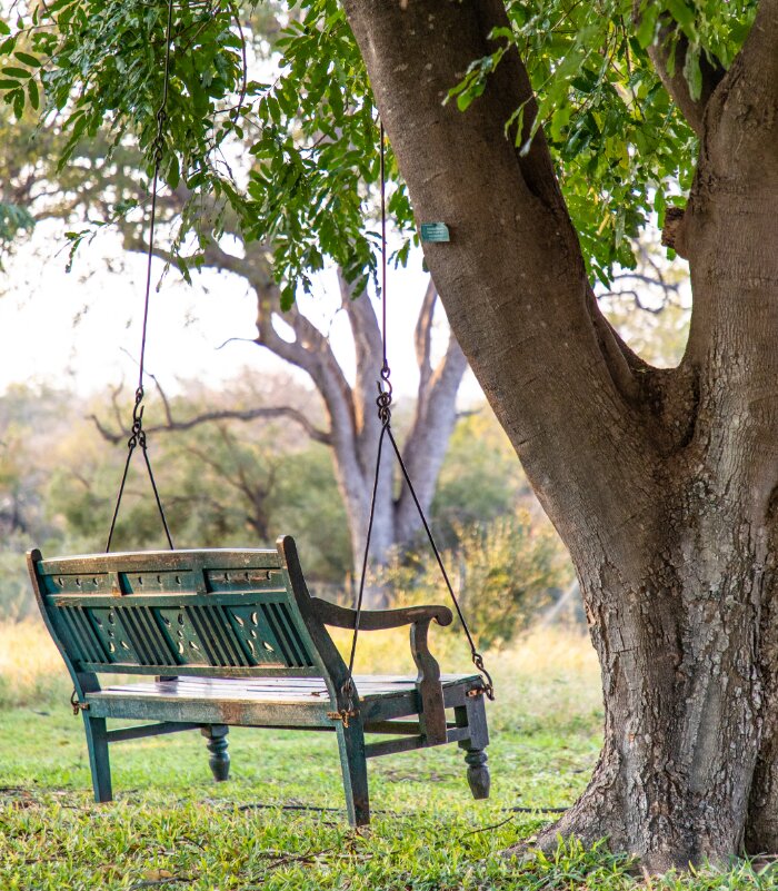 Camp George - Gardens - Swing