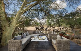 Guest-Area-at-andBeyond-Ngala-Safari-Lodge