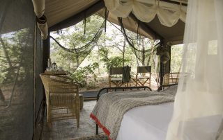 Simbavati-trails-camp-Tent-looking-out