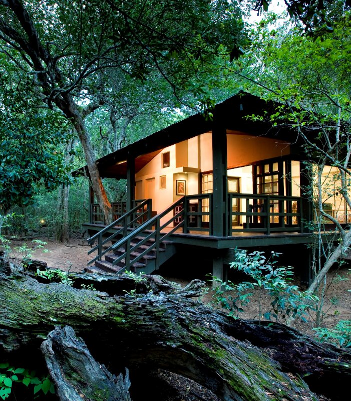 Exterior-of-guest-suite-at-andBeyond-Phinda-Forest_Lodg