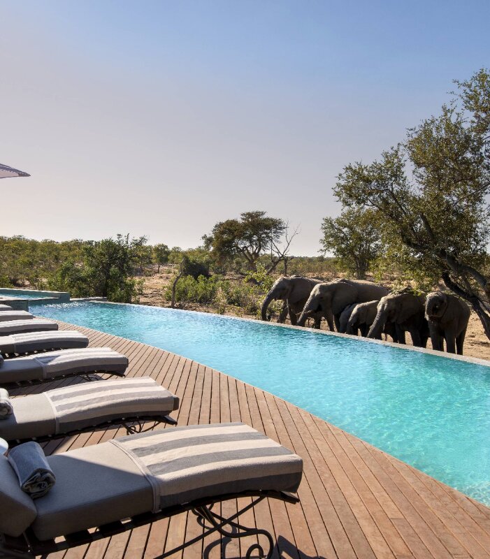 Swimming-Pool-at-andBeyond-Ngala-Safari-Lodge