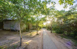 Nkambeni-Safari-Xscape4u-Foot-Paths-Kruger-National-Park