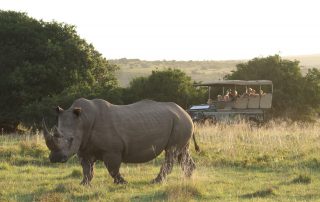 Marks-camp-Xscape4u-Game-Drive-Lalibela-Game-Reserve