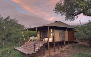 Guest-tent-at-andBeyond-Ngala-Tented-Camp-Xscape4u
