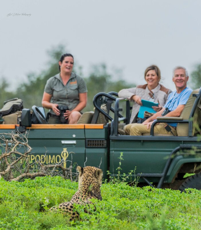 Impodimo-Game-drive-Leopard-Madikwe-Game-Reserve-Xscape4u-