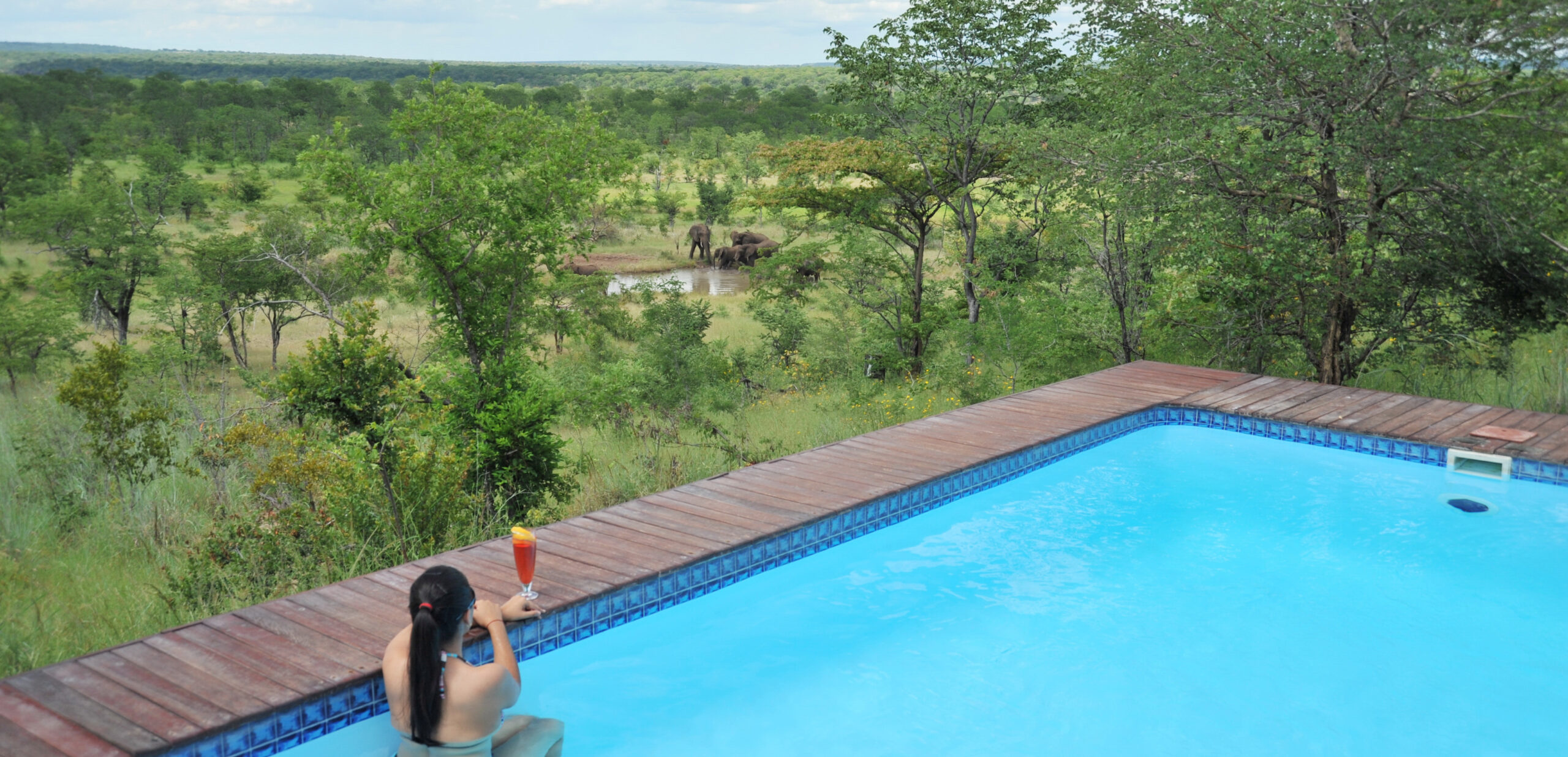 The-Elephant-Camp-Main-Pool-with-view-